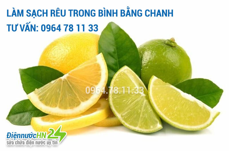 Làm sạch rêu trong bình bằng chanh